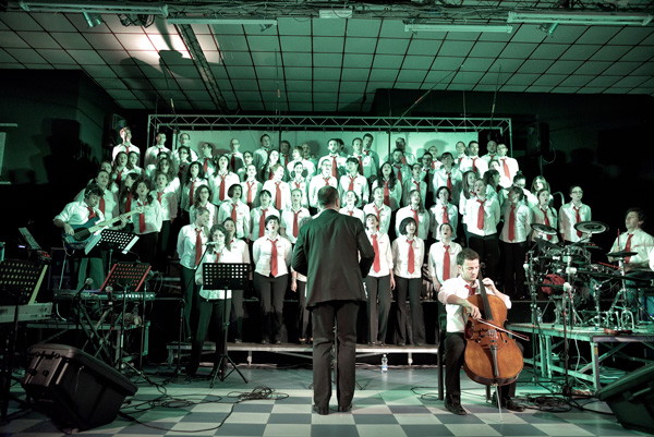 concerto avis