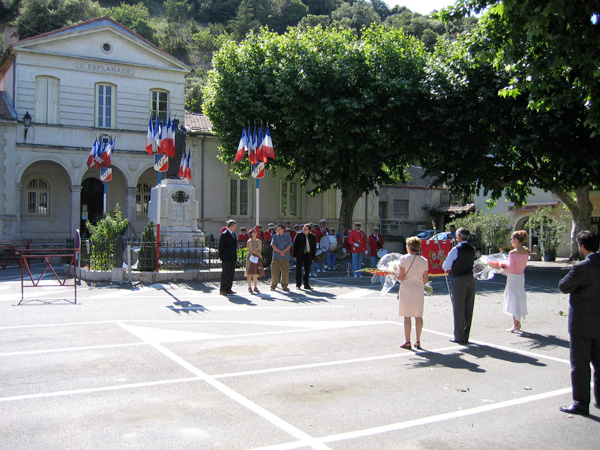 festa avis
