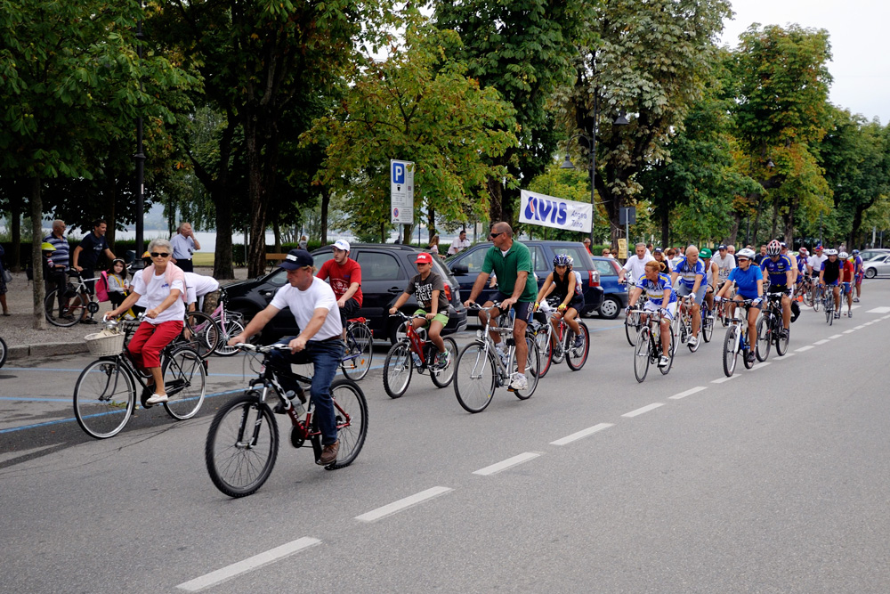 pedalata avis
