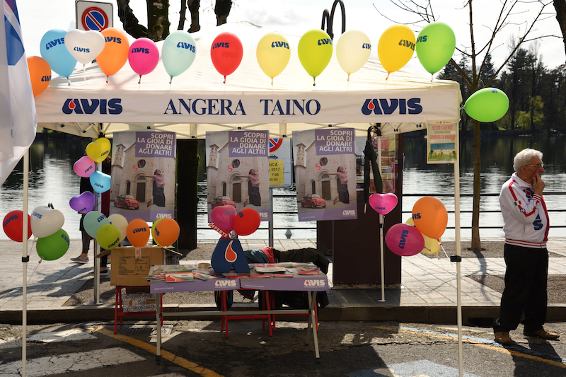 festa avis