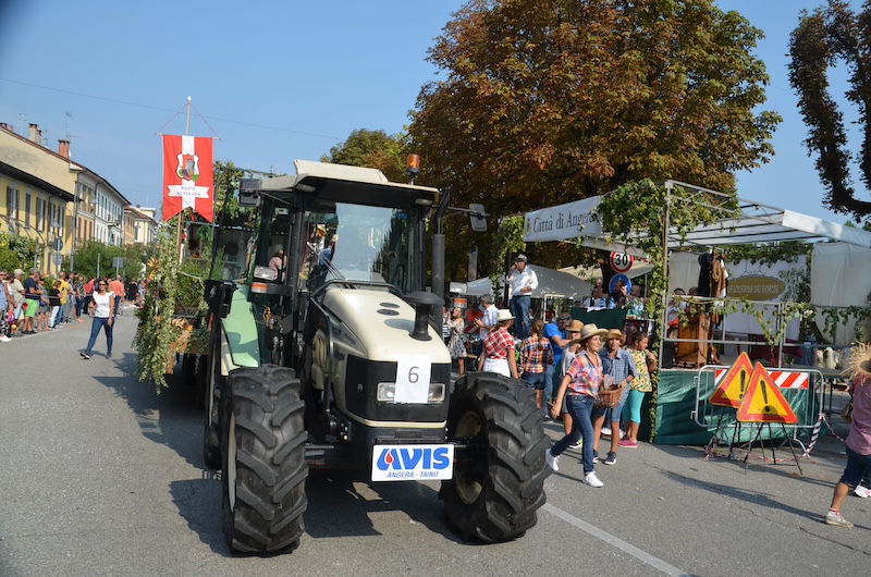 festa avis