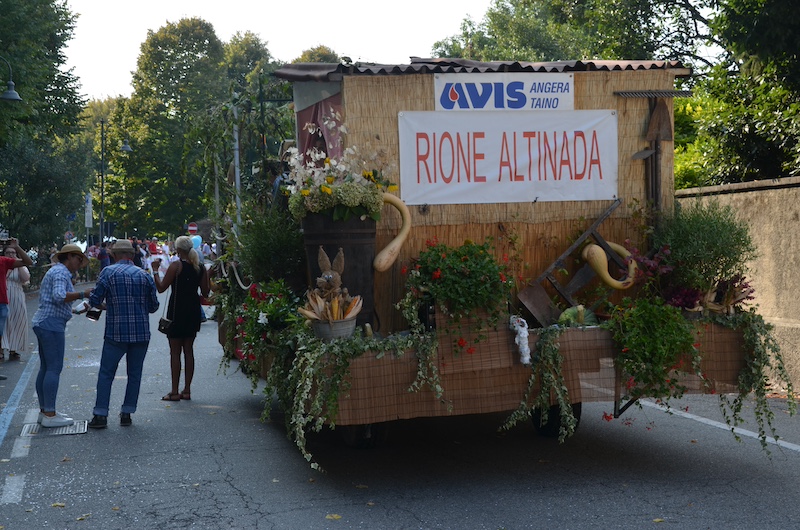 festa avis