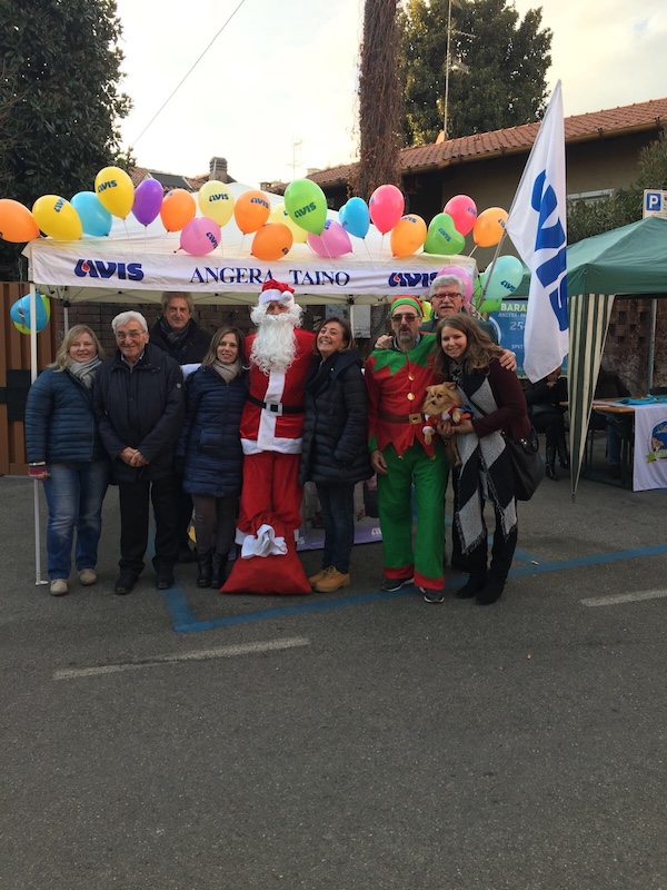 festa avis