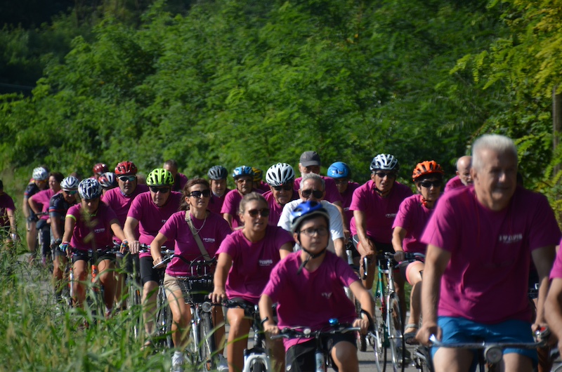 pedalata avis